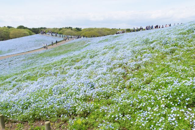 丘の向こうにも広がるスケール感の大きさ。