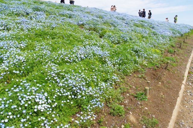 ギザギザの道を登って行きます。