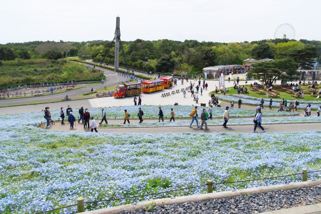 入口側を振り返る。沢山の人でにぎわいます。