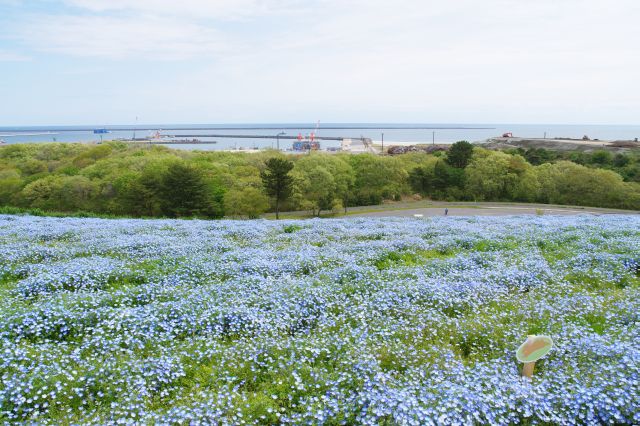 海側には茨城港と太平洋。