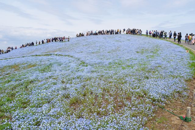 もうすぐ頂上に着きます。