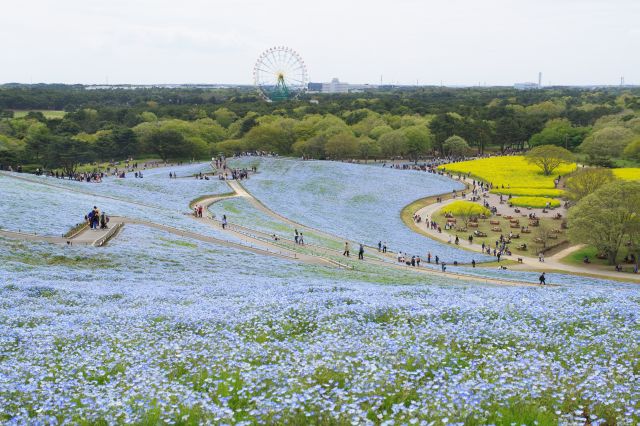 スケールの大きい絶景スポットです。