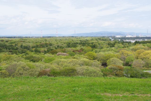 北側、どこまでか分からない広大な公園です。