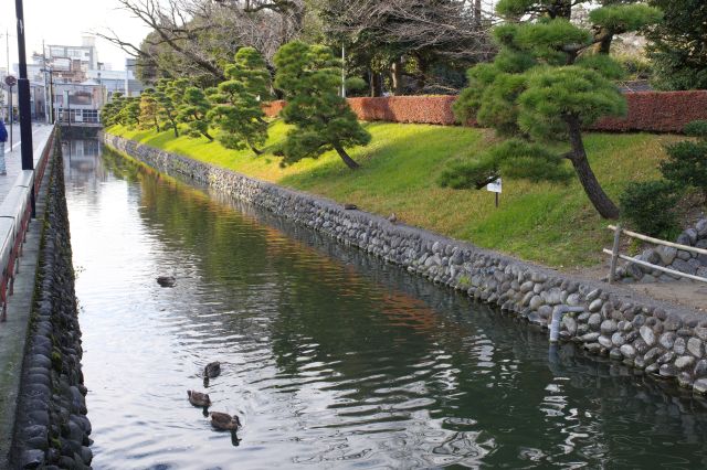 周辺は堀や土塁が巡ります。