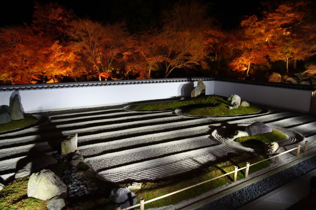 美しい夜の枯山水庭園と紅葉。