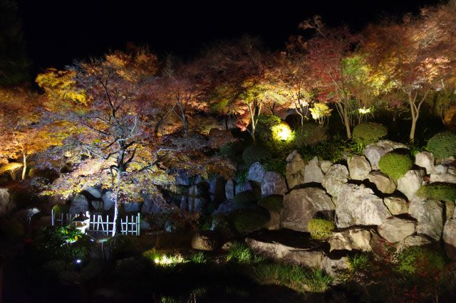 岩々と紅葉の木々。