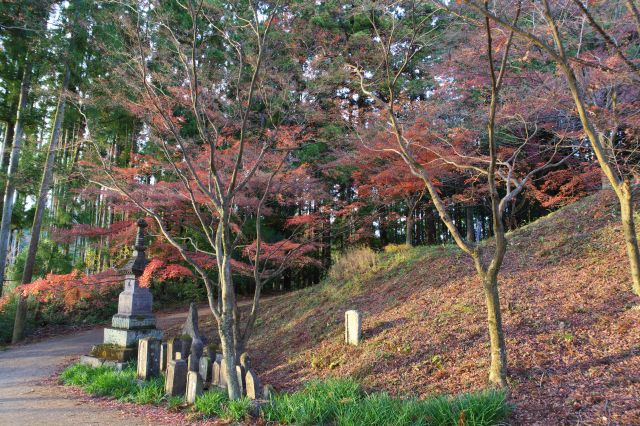 緩やかに下る坂道、もうすぐ終点。