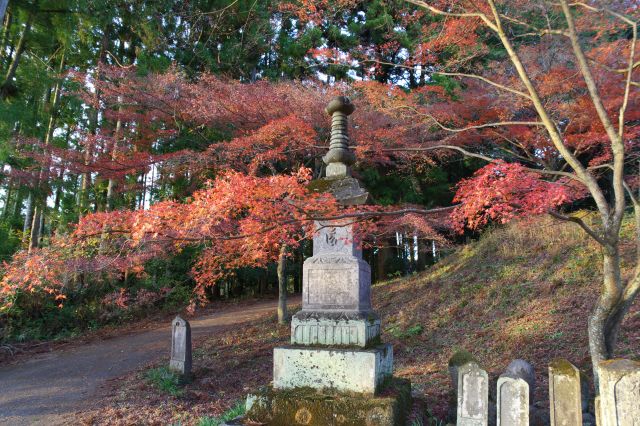 路の終わりに塔があります。