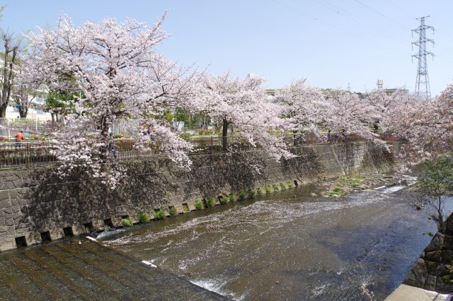 川の段差があると水の音が心地よい。