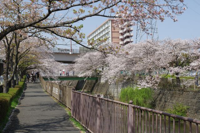 次の橋が近づきました。