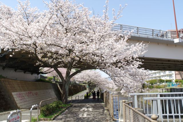 歩行者用の二反田橋へ。