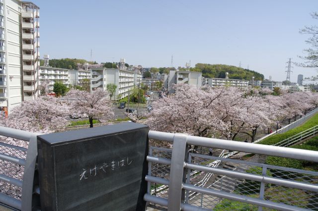 会下山（えげやま）橋は成瀬駅前から続く道。標高差のある川を跨ぎます。