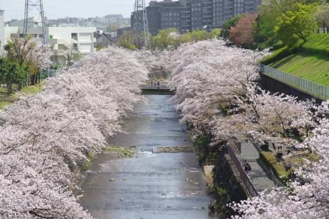 ここは１つの良い眺望ポイントです。