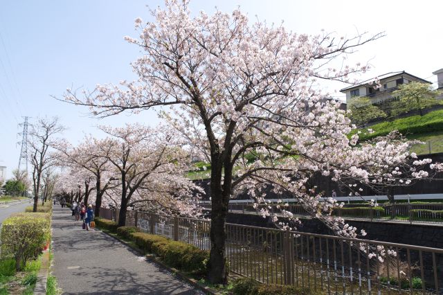 対岸とはまた違った風景が楽しめます。