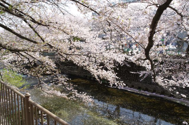 風景は変わり映えしませんが飽きません。