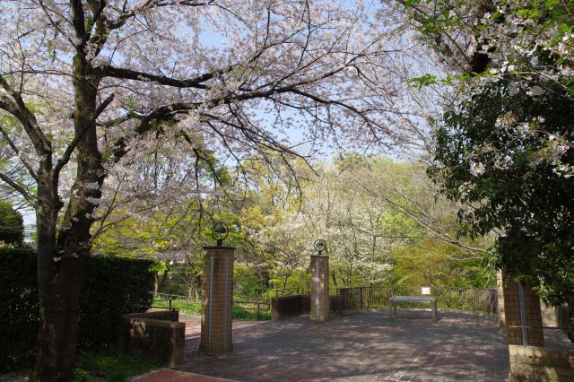 正面の谷下には緑あふれる公園。