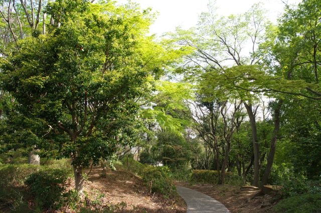 周辺は豊かな緑の木々が溢れます。自然の香り、土の香りがします。