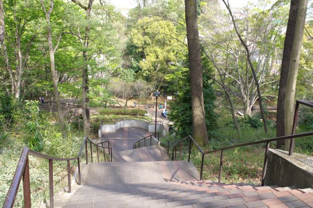 周辺の平らな宅地風景と比べて想像以上深い谷です。