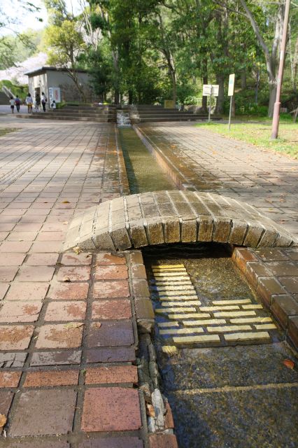 水路では子供たちが水遊びしていました。