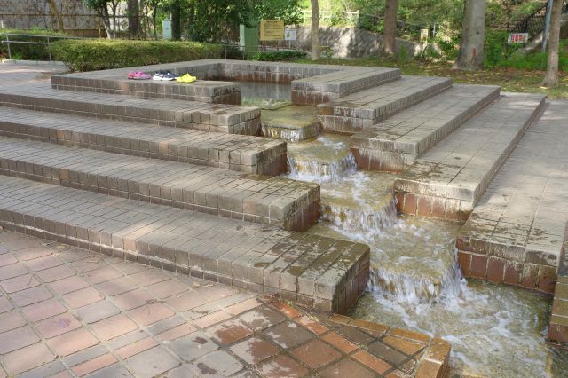 水路の水はここから湧き出ています。