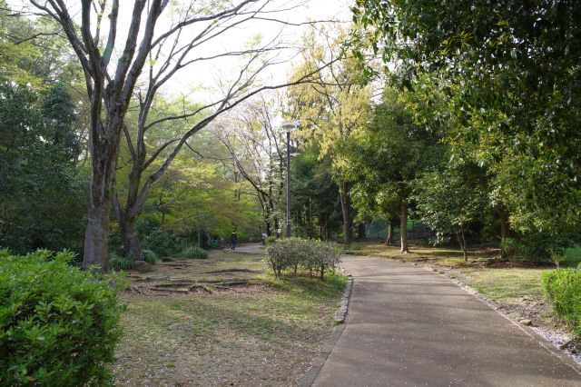 自然の中の散策路という感じの道を進んでいきます。