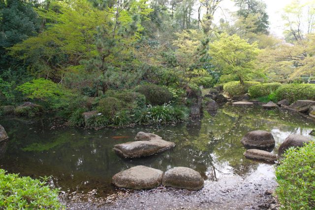 角度によって風景が変わる大池。