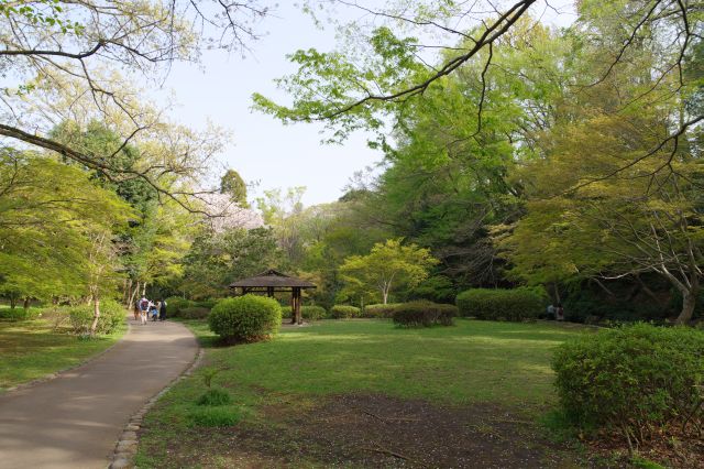 芝生の広場や四阿（あずまや）。