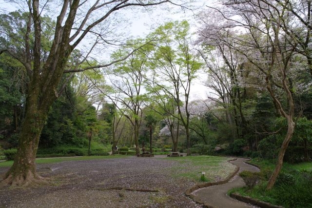 池方面を振り返る。