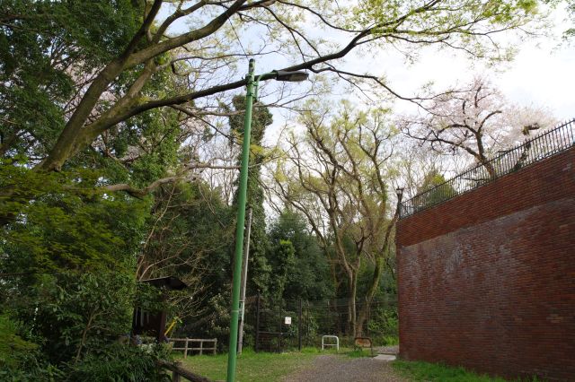 あふれる緑の別世界から住宅街へ戻ります。