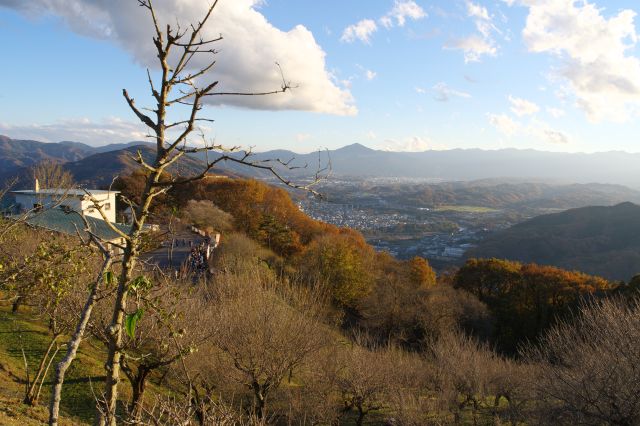 宝登山の写真ページへ