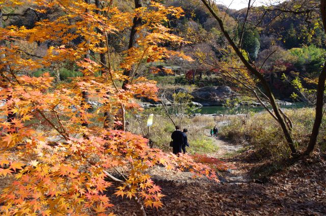 荒川沿いの虎岩へと向かいます。