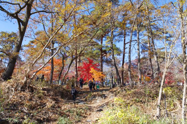 川への道から公園を振り返る。