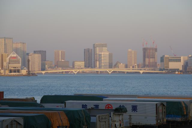 豊洲大橋と豊洲の町並みが見えます。