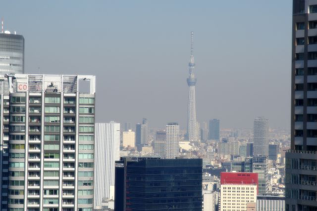 少し進むと東京スカイツリーが見えやすくなります。