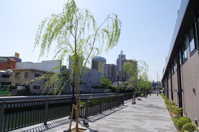 柳の木も心地よい水辺の穏やかな散策路。