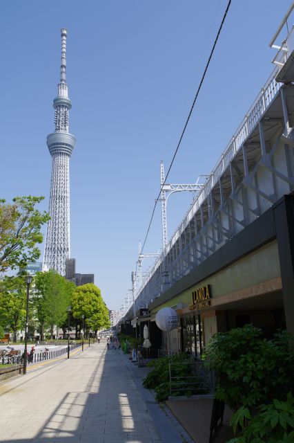 隅田公園側へ。公園も近くて良いスポットです。