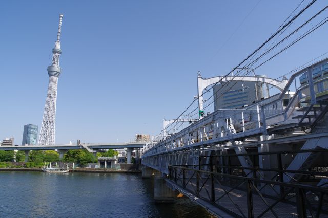 すみだリバーウォークと東京スカイツリー。