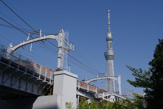 橋梁の下の公園へ。