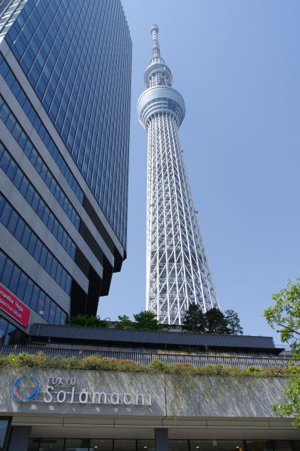 上にはイーストタワーの横にスカイツリーがそびえ立ちます。