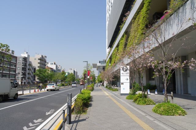 東京スカイツリータウン沿い、新しく造成された雰囲気です。