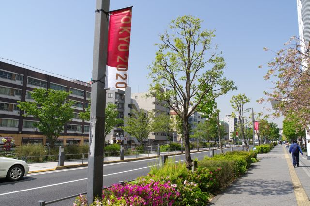 街路樹や植物もある新しくて心地良い道。