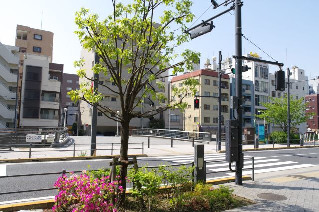 おしなり橋前へ到着。横断歩道があります。