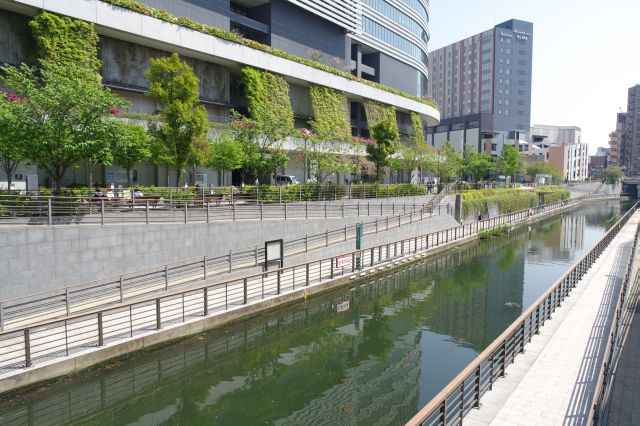 東側、川の遊歩道も一体的に新しく造成された雰囲気で心地よい。