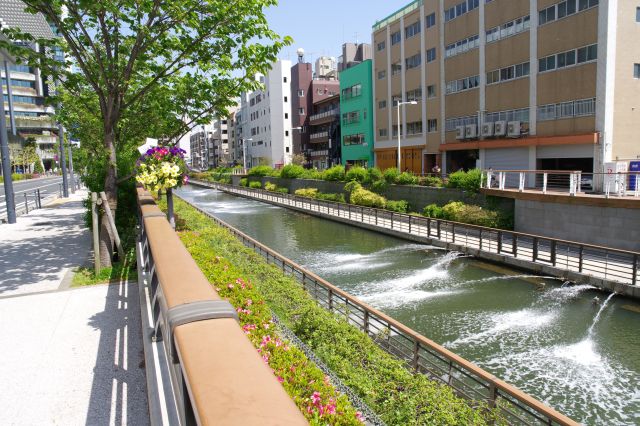 水が噴き出す川の心地よさ。