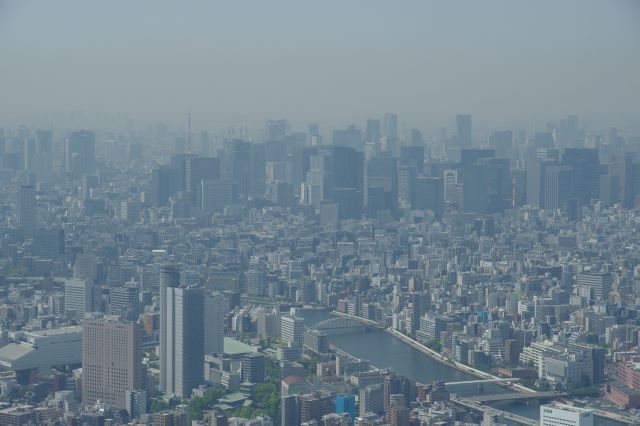 東京駅の丸の内のビル群。東京タワーが見えます。