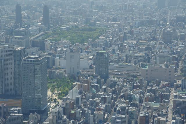 錦糸町駅周辺と猿江恩賜公園。