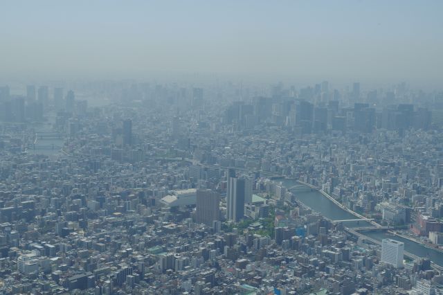 一番高い場所からの眺望。丸の内～月島。圧倒的な高さです。