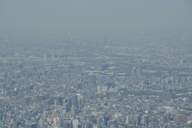 蛇行する荒川、隅田川の先に五色桜大橋や川口と思われる町並み。