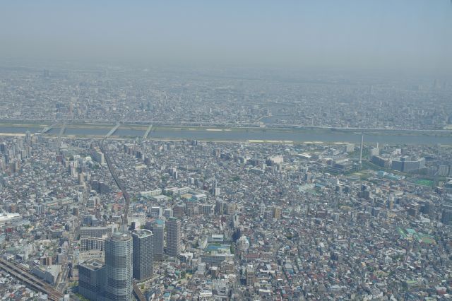 北東側、横切る荒川と葛飾区の町並み。