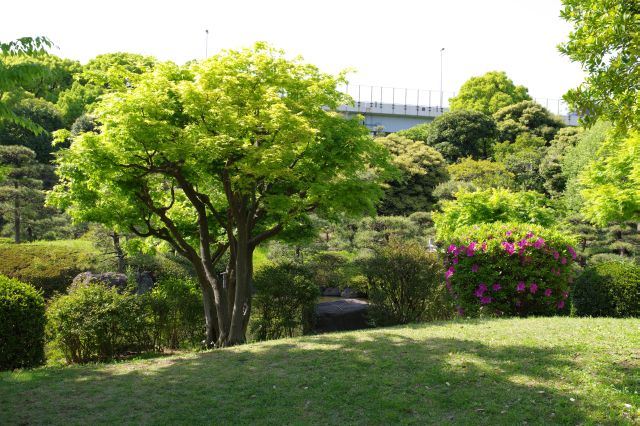 緑あふれる心地よい園内。